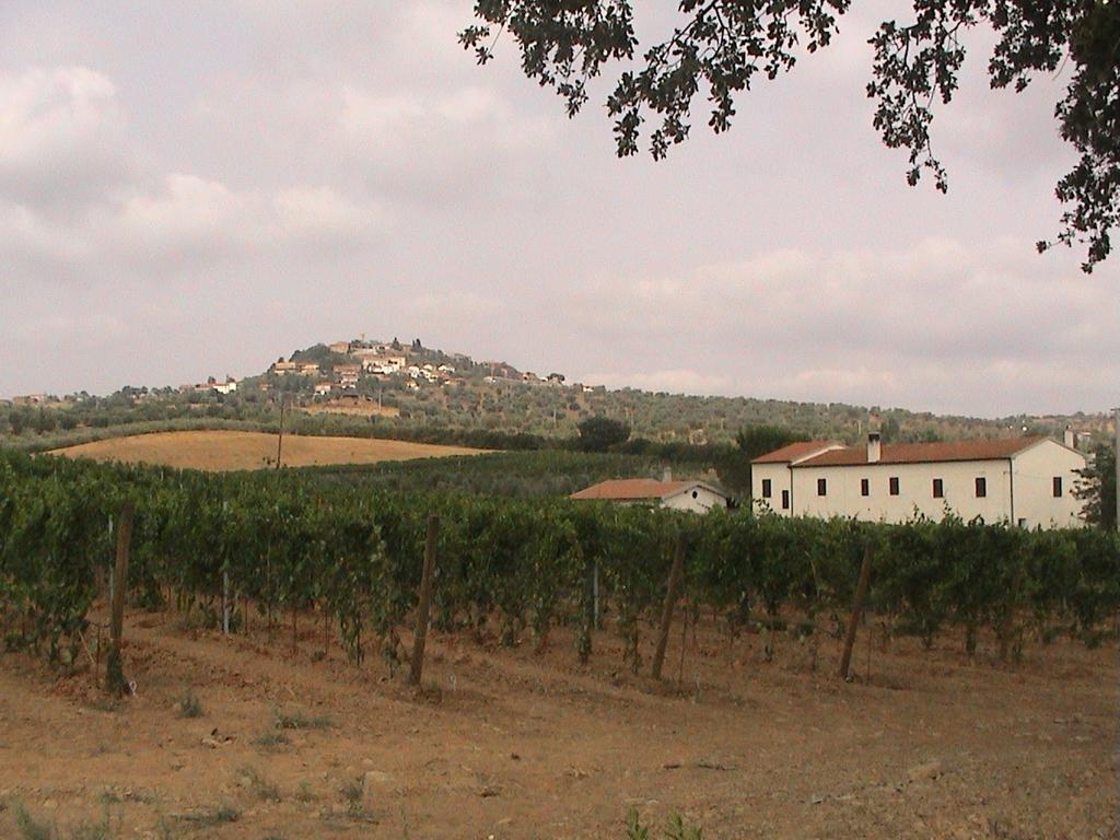 Agriturismo Vigna Mai Magliano in Toscana Exterior foto